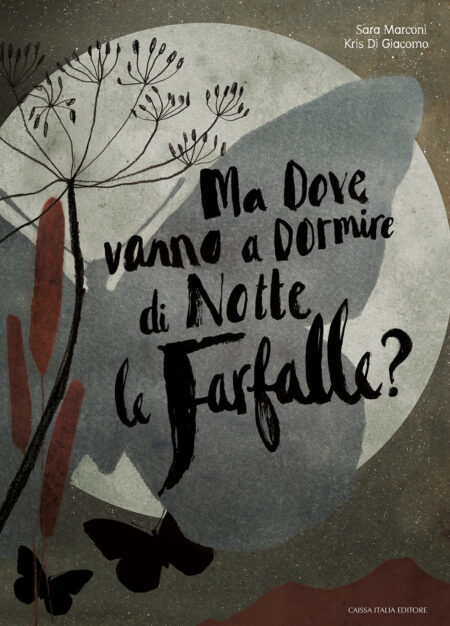 Ma dove vanno a dormire di notte le farfalle?