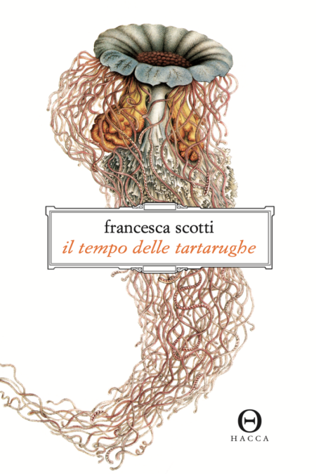 Francesca Scotti. Il tempo delle tartarughe. Hacca Edizioni