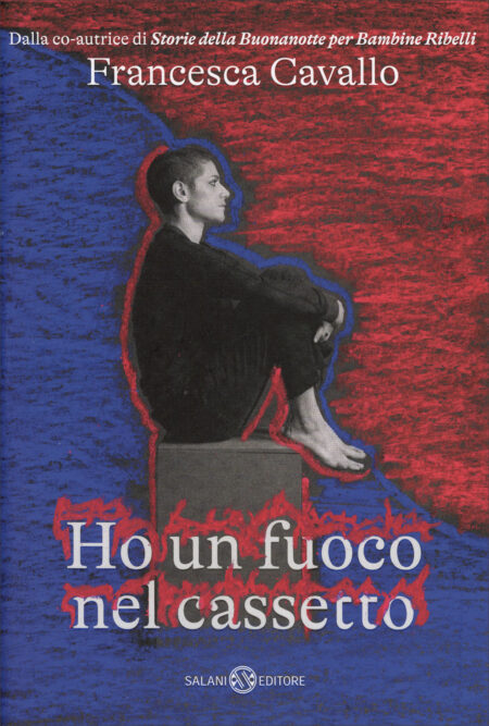 Francesca Cavallo. Ho un fuoco nel cassetto. Salani Editore