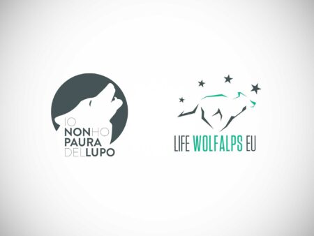 Laura Scillitani. Life WolfAlps EU