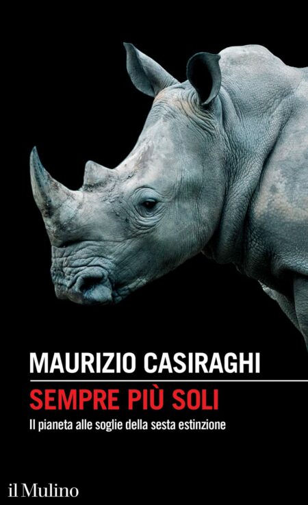 Maurizio Casiraghi. Sempre più soli. Il Mulino Edizioni