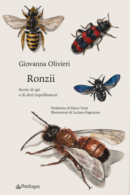 Giovanna Olivieri. Ronzii. Pendragon Editore