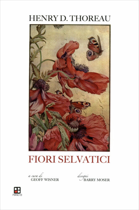 Henry D. Thoreau. Fiori selvatici. Piano B Edizioni