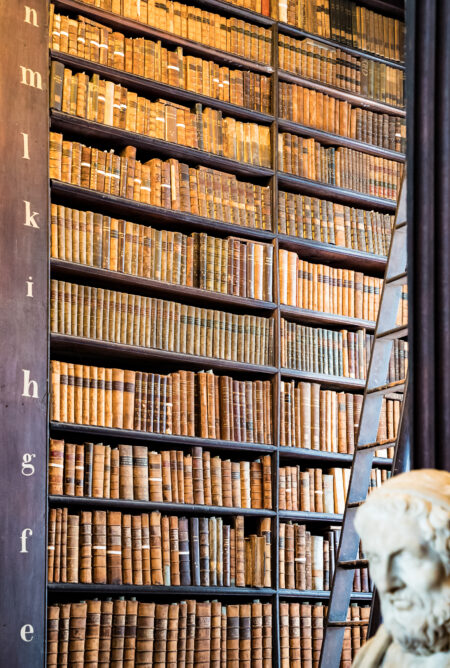 Biblioteche in Festa