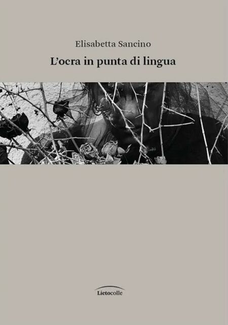 Elisabetta Sancino. L'ocra in punta di lingua.