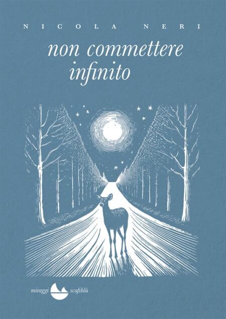 Nicola Neri. Non commettere infinito. Miraggi Edizioni